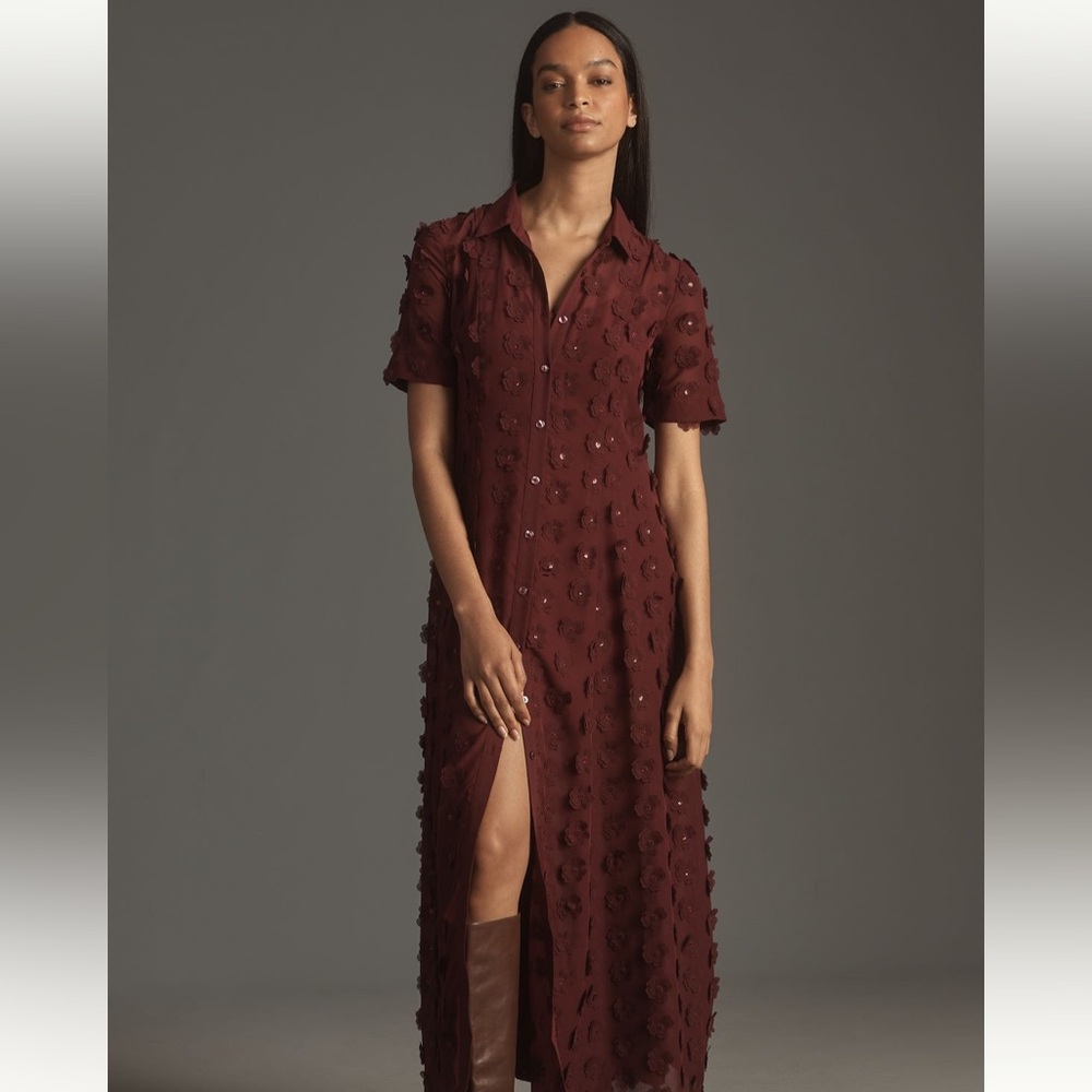 NWT Anthropologie Porridge short sleeved 3D Floral Shirtdress